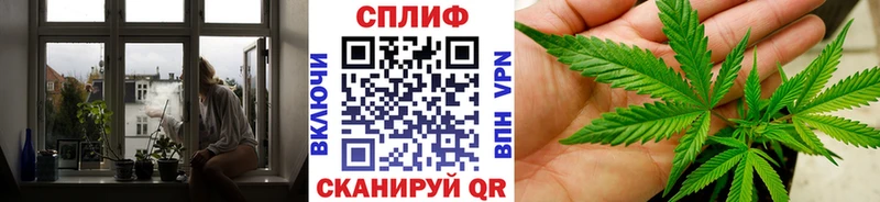 Купить закладку СК Конопля Меф Гашиш Мураши