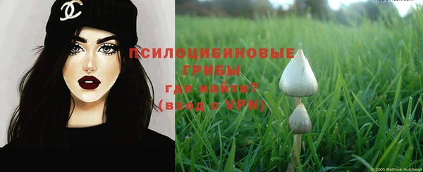 apvp Ладушкин