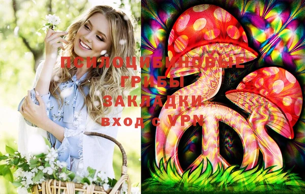 apvp Ладушкин