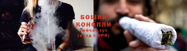 ГАЛЛЮЦИНОГЕННЫЕ ГРИБЫ Лабытнанги