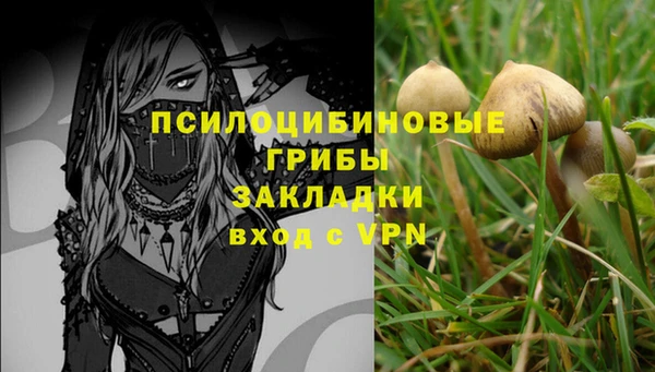 apvp Ладушкин