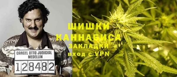 ГАЛЛЮЦИНОГЕННЫЕ ГРИБЫ Лабытнанги