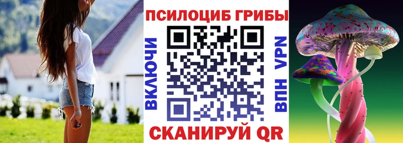 Галлюциногенные грибы Cubensis  Купить закладки  Мураши 